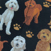 Twin Roads - Golden Doodle Socks for Him